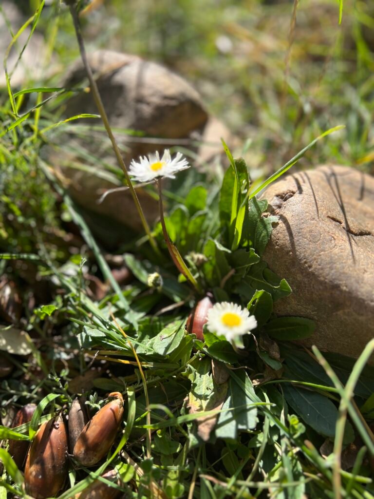 IMG 6653 Ana Lucía Lozano Collado | Crecimiento y Desarrollo Personal